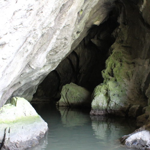 Dunaj - jeskyně | Zdroj: CK KM